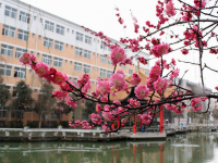 四川師范大學成都學院2023年招生錄取分數(shù)線