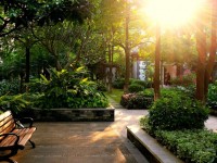 廣東外語外貿師范大學南國商學院歷年招生錄取分數線