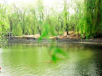燕山大學(xué)師范學(xué)院2023年排名