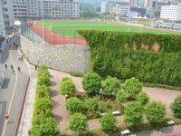 習水幼師職業(yè)技術(shù)學校2023年有哪些專業(yè)