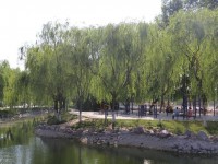 新鄉(xiāng)工程師范學院2023年學費、收費多少