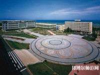 大連職業(yè)技術師范學院2023年網(wǎng)站網(wǎng)址