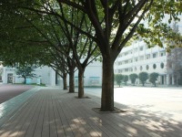 成都洞子口職業(yè)幼兒師范高級中學2023年招生錄取分數(shù)線