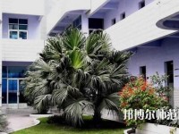 四川信息工程幼兒師范學(xué)校2023年報(bào)名條件、招生要求、招生對(duì)象
