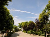成都華夏旅游商務(wù)幼兒師范學(xué)校2023年招生計(jì)劃