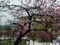 貴陽中華幼師職業(yè)學(xué)校2023年怎么樣、好不好