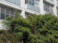 貴州貴陽(yáng)中山科技幼兒師范學(xué)校2023年學(xué)費(fèi)、收費(fèi)多少