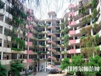 合江少岷幼兒師范職業(yè)技術(shù)學(xué)校2023年怎么樣、好不好