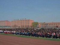 南和幼兒師范職教中心2023年招生錄取分?jǐn)?shù)線