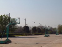 陜西金穗國(guó)際汽車師范學(xué)院歷年招生錄取分?jǐn)?shù)線