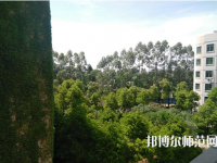 江西中專幼師學(xué)?？梢钥即髮? /><b>江西中專幼師學(xué)?？梢钥即髮?/b><span>2019-09-12 10:09</span><p>如果現(xiàn)在是中專學(xué)歷的話，可以選擇一所大專院校參加學(xué)校的對口升學(xué)考試，要知道現(xiàn)在的中專學(xué)歷就相當(dāng)于高中學(xué)歷的，所以還是要找</p></a></li>
            <li><a href=