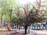 石家莊法商幼兒師范中等專業(yè)學(xué)校2023年報(bào)名條件、招生要求、招生對(duì)象