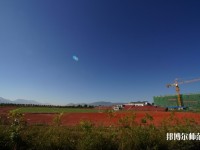 云南2020年初中生有哪些幼師學(xué)校？