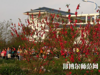 廣西2020年幼師學(xué)校專(zhuān)業(yè)有哪些