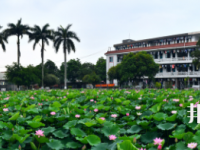 廣西2020年幼師學(xué)校專(zhuān)業(yè)學(xué)什么