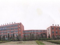 河北2020年幼師學(xué)校什么專(zhuān)業(yè)適合男生