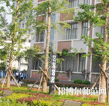 鄭州2020年哪個大專學(xué)校幼師學(xué)校好