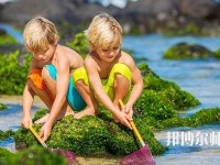 貴陽2020年哪個幼師學校就業(yè)最好