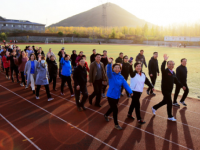石家莊幼兒師范高等?？茖W(xué)校歷年招生錄取分?jǐn)?shù)線