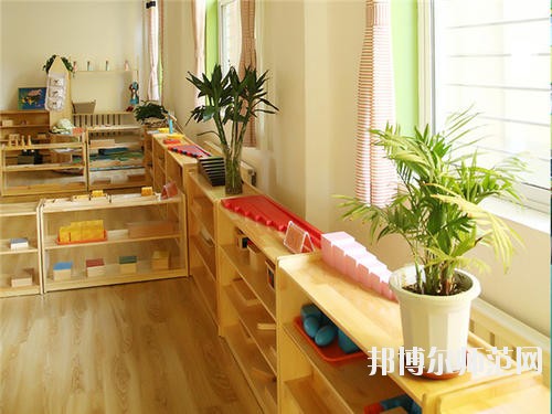 雅安2020年幼師學校都有什么專業(yè)適合男生