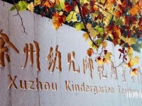 徐州幼兒師范高等?？茖W校有哪些專業(yè)