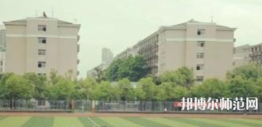 桐城師范高等專科學校網(wǎng)站網(wǎng)址