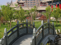 蘭州職業(yè)技術(shù)師范學(xué)院桃林校區(qū)2023年怎么樣、好不好