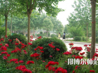 河南科技職業(yè)師范大學(xué)2023年報(bào)名條件、招生要求、招生對(duì)象