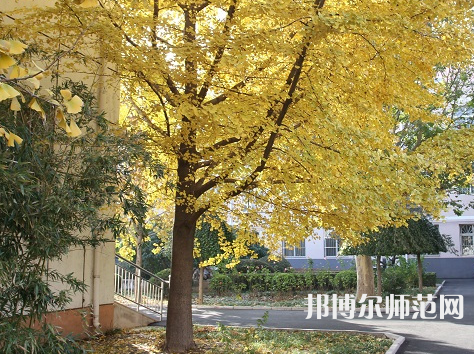 北京京北職業(yè)師范技術學院2023年報名條件、招生要求、招生對象