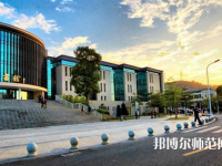 東莞理工師范學(xué)院城市學(xué)院2023年有哪些專(zhuān)業(yè)