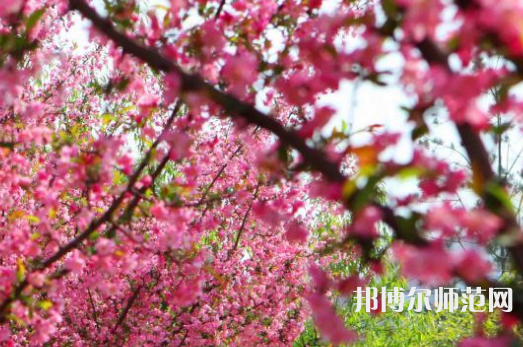 鄭州大學(xué)師范學(xué)院主校區(qū)2023年報(bào)名條件、招生要求、招生對(duì)象