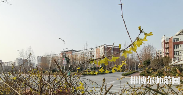 鶴壁職業(yè)技術(shù)師范學(xué)院2023年報(bào)名條件、招生要求、招生對(duì)象