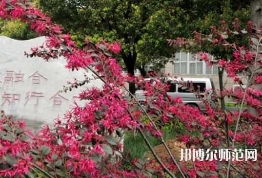 駐馬店師范職業(yè)技術(shù)學(xué)院2023年有哪些專(zhuān)業(yè)