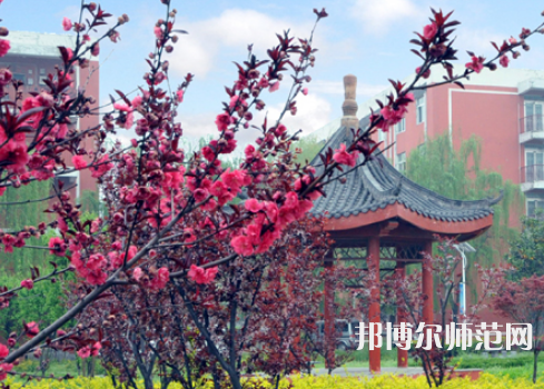 駐馬店師范職業(yè)技術(shù)學(xué)院2023年報(bào)名條件、招生要求、招生對(duì)象