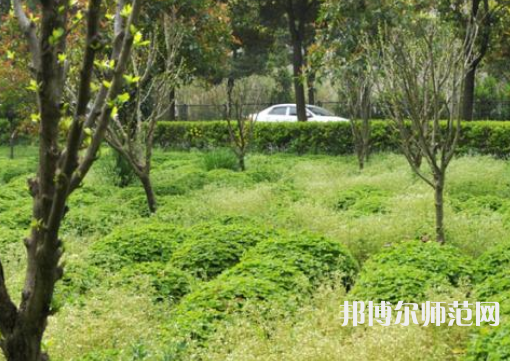 駐馬店師范職業(yè)技術(shù)學(xué)院2023年報(bào)名條件、招生要求、招生對(duì)象