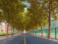 聊城師范大學(xué)東昌學(xué)院2023年報(bào)名條件、招生要求、招生對(duì)象