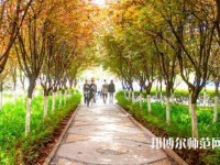 漢中職業(yè)技術師范學院2023年招生計劃