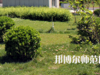 安陽幼兒師范高等?？茖W校歷年招生錄取分數(shù)線