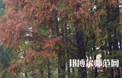 信陽師范學(xué)院2023年怎么樣、好不好