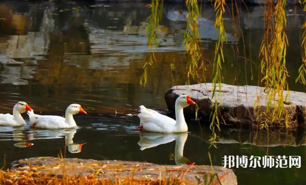 山東財(cái)經(jīng)師范大學(xué)萊蕪校區(qū)2023年報(bào)名條件、招生要求、招生對象 