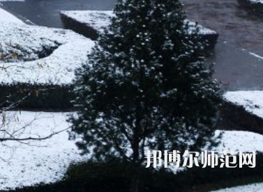 焦作師范高等?？茖W(xué)校2023年報(bào)名條件、招生要求、招生對(duì)象