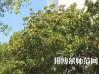 湖南理工師范學院南湖學院2023年怎么樣、好不好
