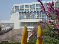 山東財經(jīng)師范大學(xué)圣井校區(qū)2023年有哪些專業(yè)