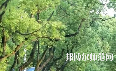 湖南理工師范學(xué)院南湖學(xué)院2023年報(bào)名條件、招生要求、招生對(duì)象