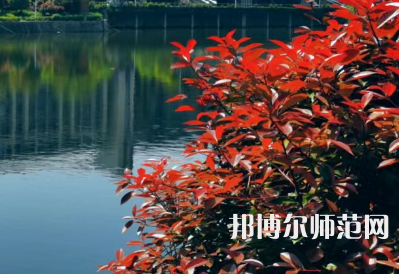 南華大學(xué)船山師范學(xué)院雨母校區(qū)2023年報(bào)名條件、招生要求、招生對(duì)象
