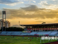 東莞理工師范學(xué)院松山湖校區(qū)2023年有哪些專(zhuān)業(yè)