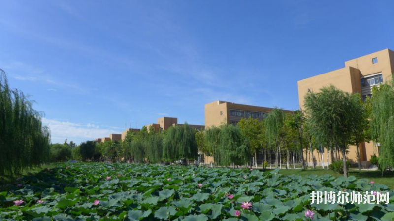 東營(yíng)職業(yè)師范學(xué)院2023年報(bào)名條件、招生要求、招生對(duì)象 