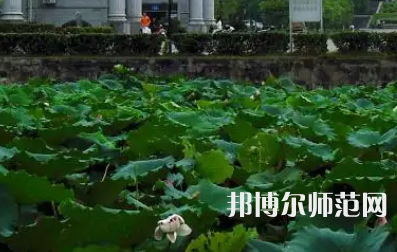 南華師范大學(xué)紅湘校區(qū)2023年報名條件、招生要求、招生對象