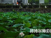 南華師范大學(xué)紅湘校區(qū)2023年報(bào)名條件、招生要求、招生對象