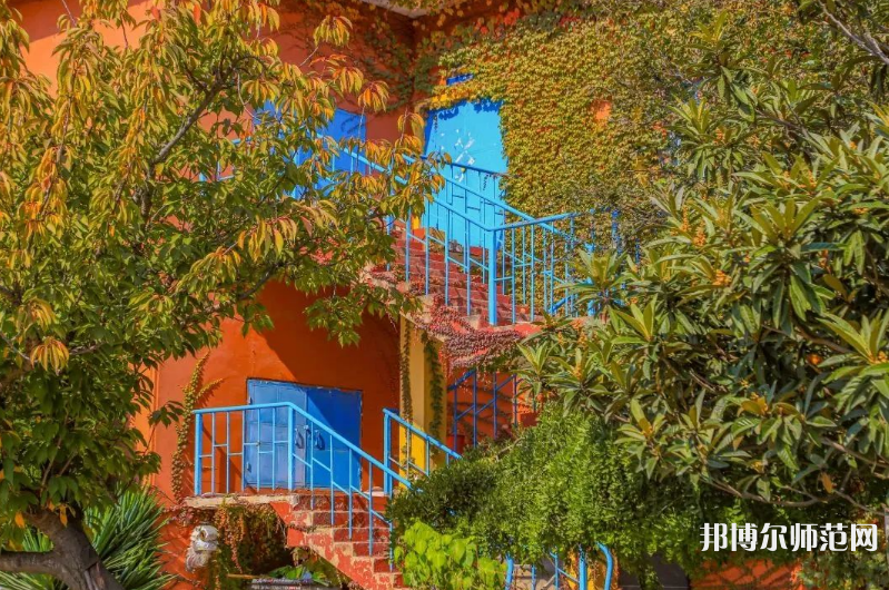 青島科技師范大學(xué)高密校區(qū)2023年報(bào)名條件、招生要求、招生對(duì)象 